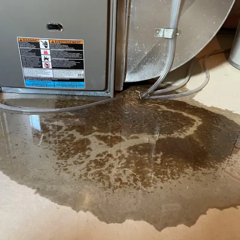 Appliance Leak Cleanup in Jemison, AL